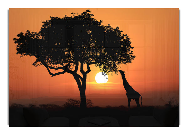 Giraffensafari bei Sonnenuntergang