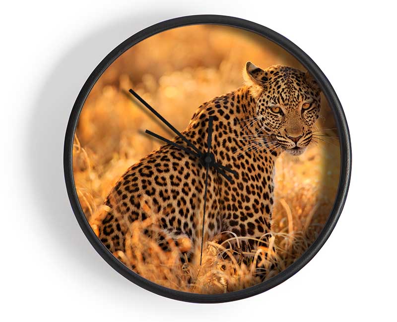 Leopard Sunset Clock - Wallart-Direct UK