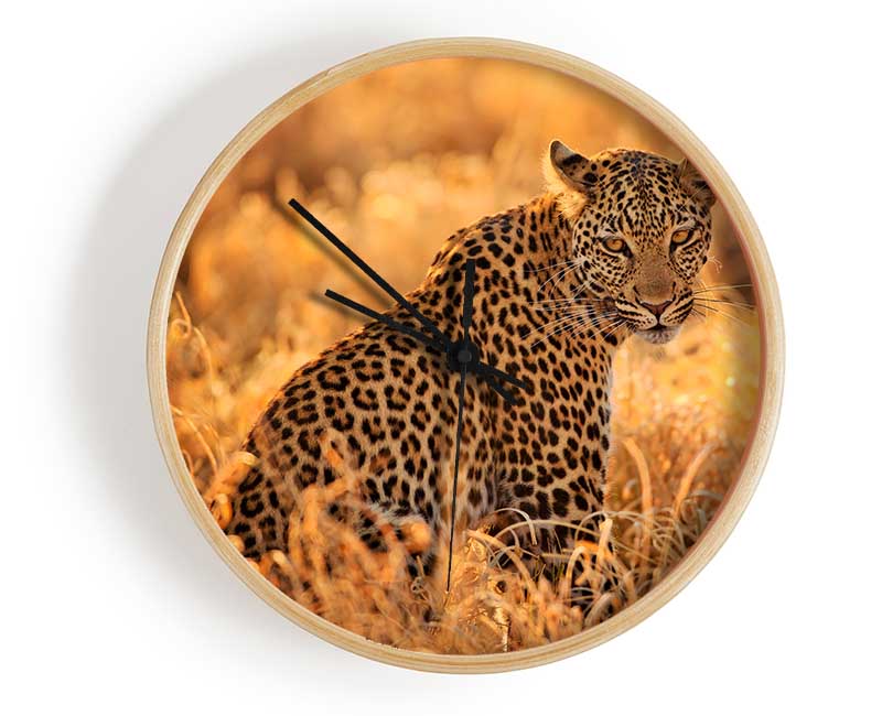 Leopard Sunset Clock - Wallart-Direct UK