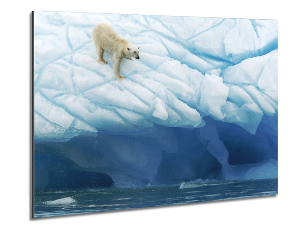 Polar Bear Ice