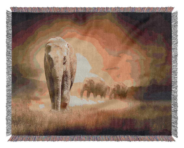 Stunning Elephant Pride Woven Blanket