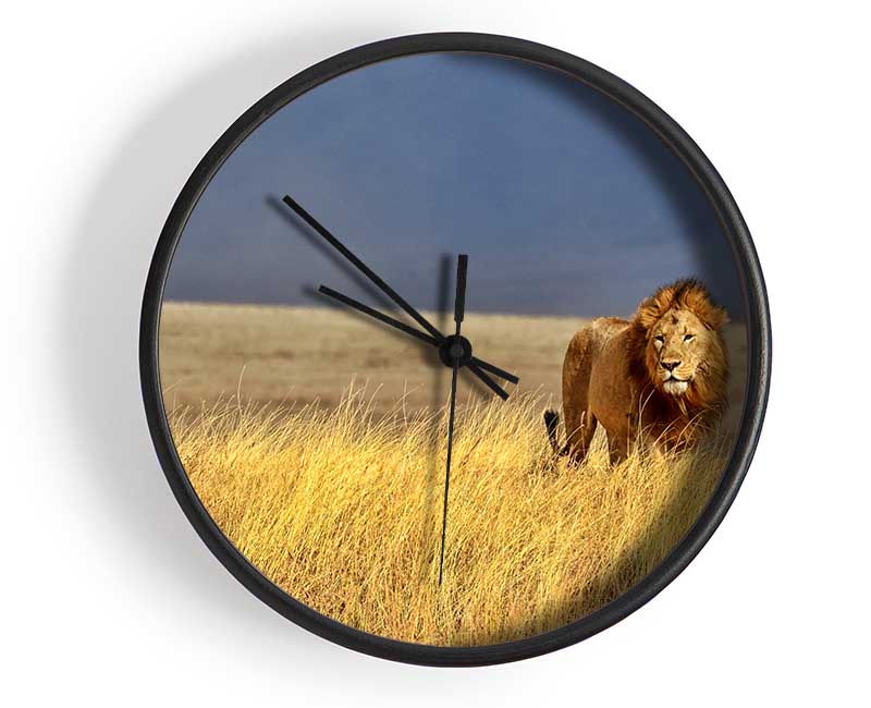 Lion Roam Clock - Wallart-Direct UK