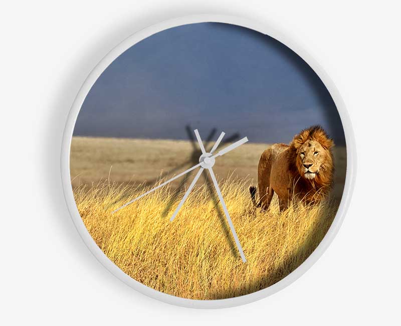 Lion Roam Clock - Wallart-Direct UK