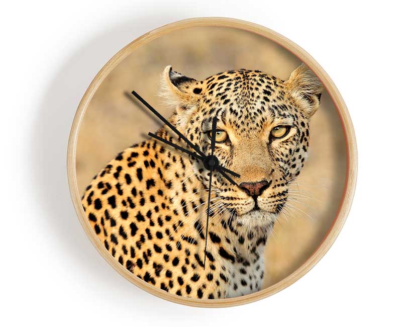 Stunning Leopard Clock - Wallart-Direct UK