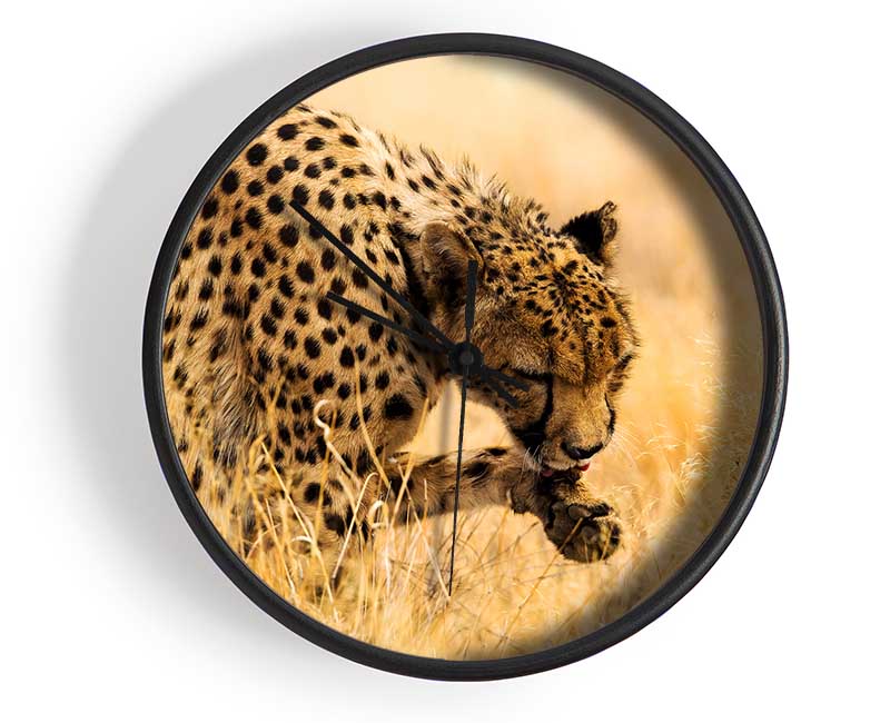 Cheetah Wash Clock - Wallart-Direct UK