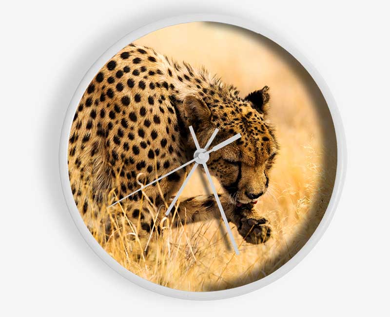 Cheetah Wash Clock - Wallart-Direct UK