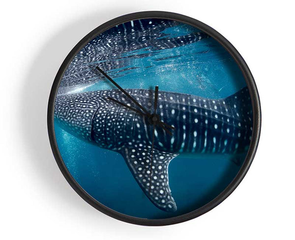 Spotted Whale Shark Clock - Wallart-Direct UK