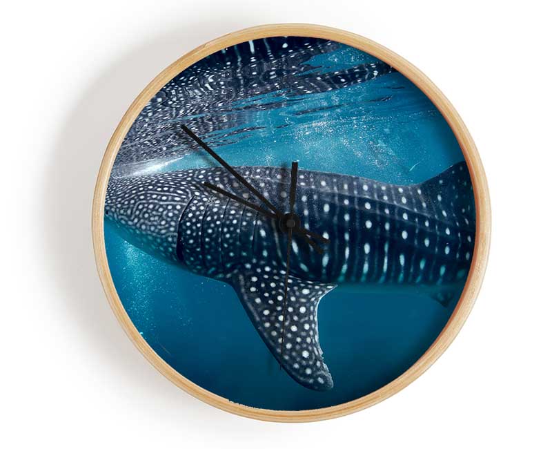 Spotted Whale Shark Clock - Wallart-Direct UK