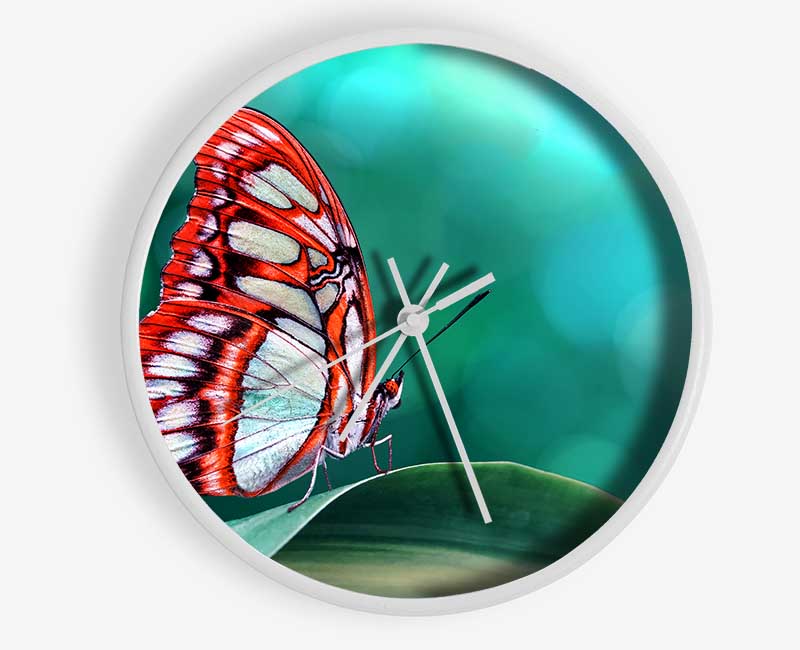 Butterfly Wings 1 Clock - Wallart-Direct UK