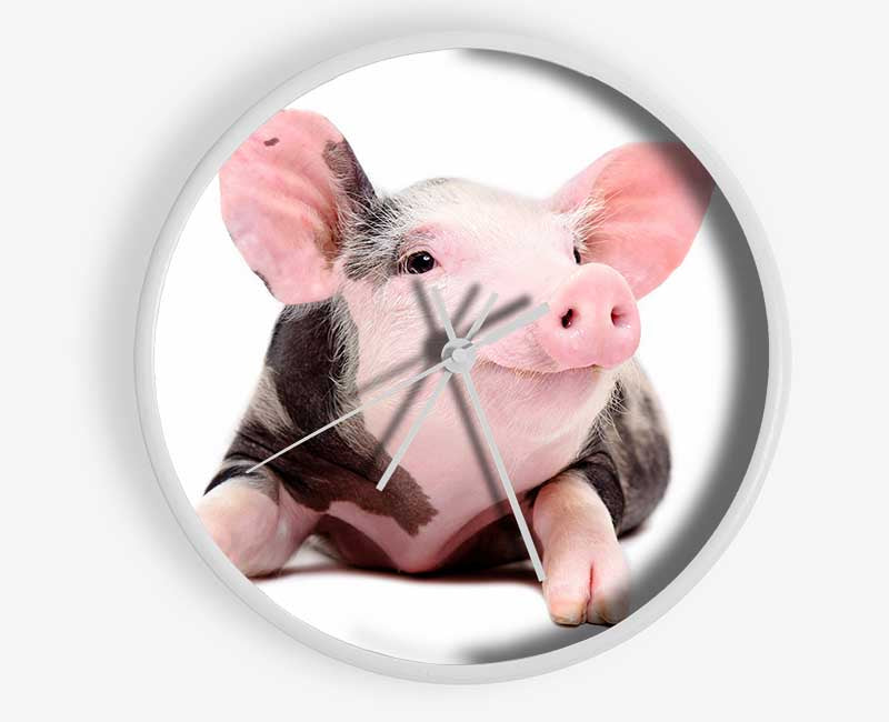 Happy Pig Clock - Wallart-Direct UK