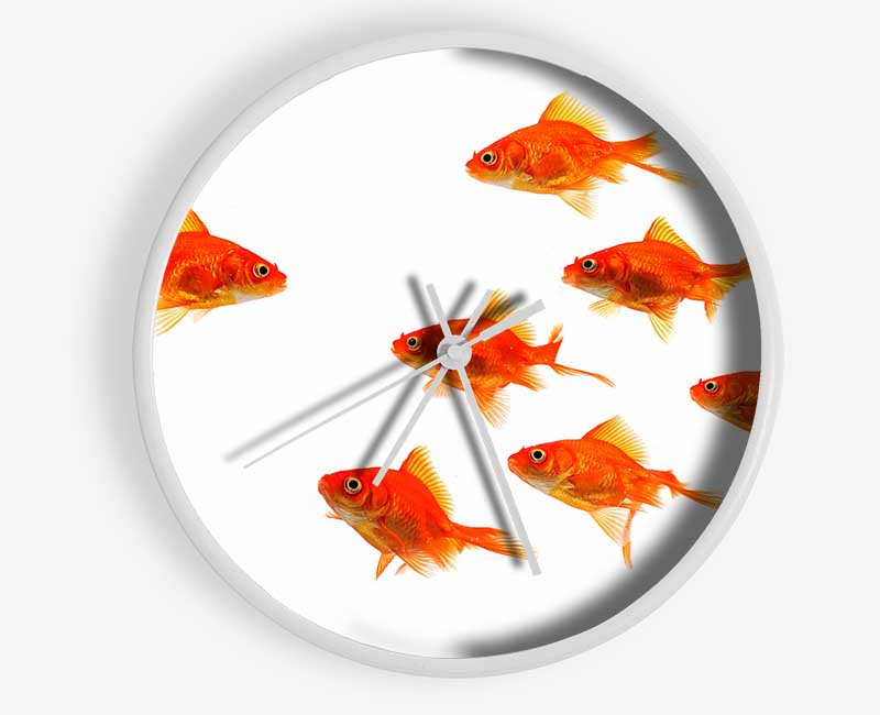 Goldfish Leader Clock - Wallart-Direct UK