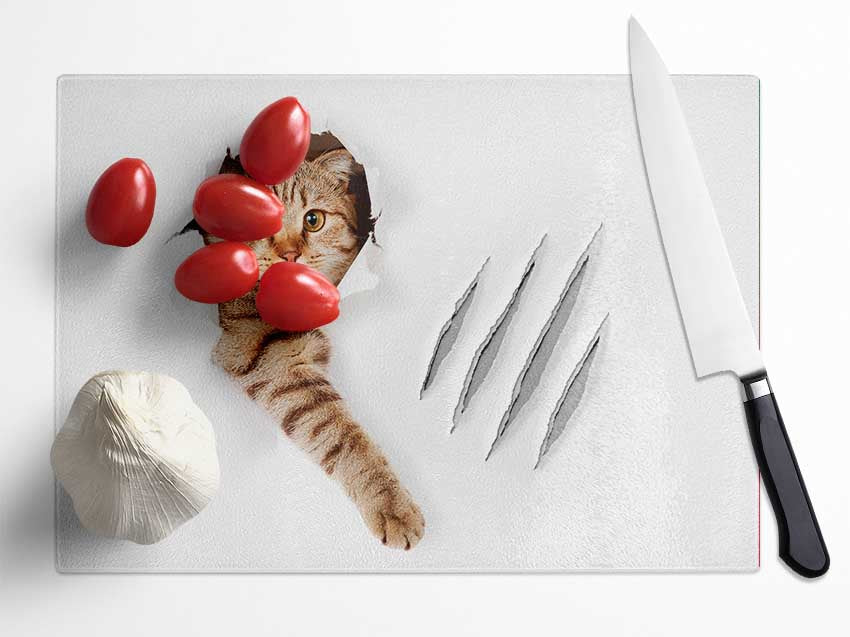 Cat Claws Glass Chopping Board