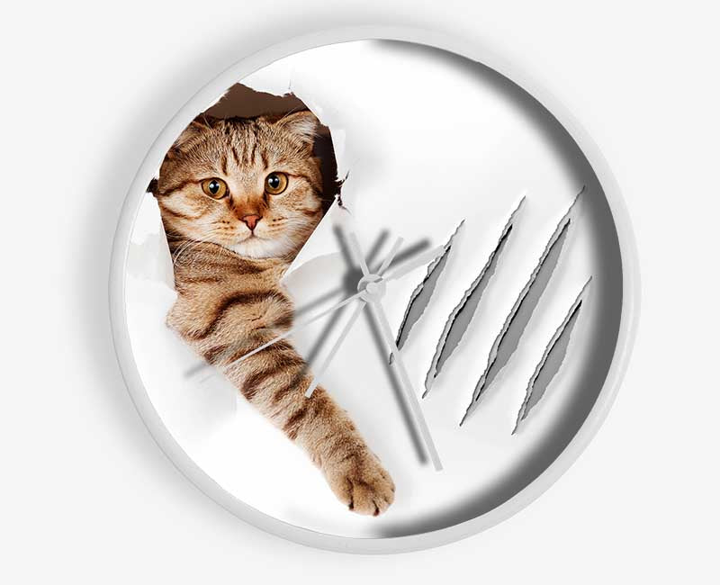 Cat Claws Clock - Wallart-Direct UK