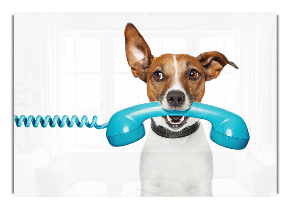 Terrier Dog Phone Call