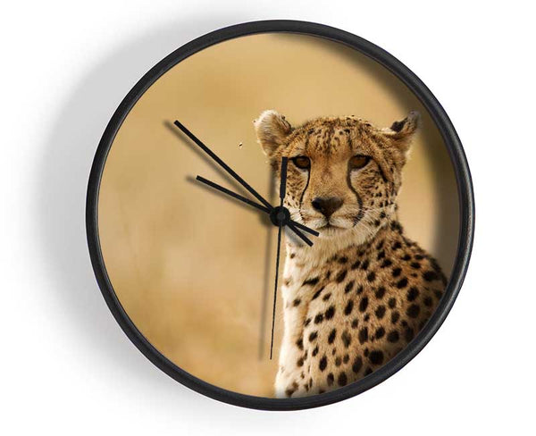 Cheetah Beauty Clock - Wallart-Direct UK