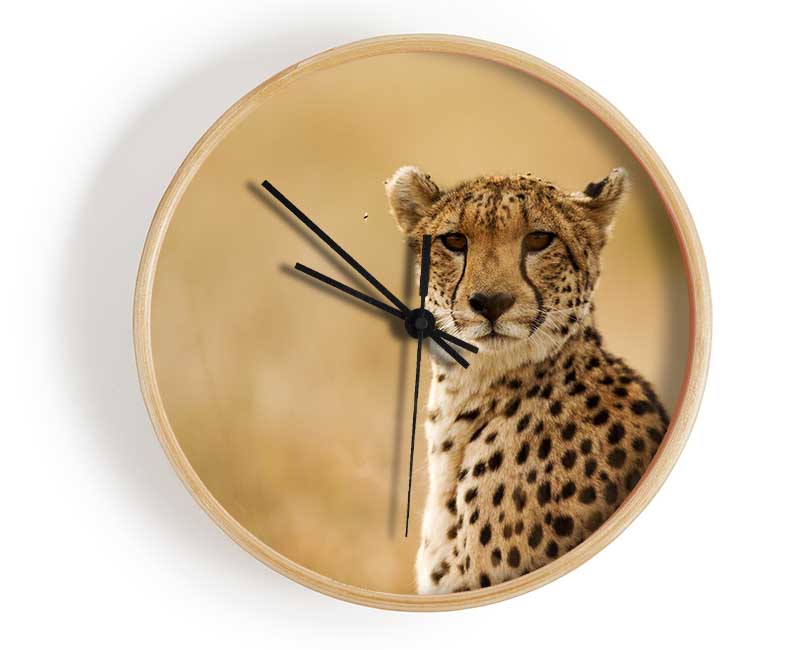 Cheetah Beauty Clock - Wallart-Direct UK