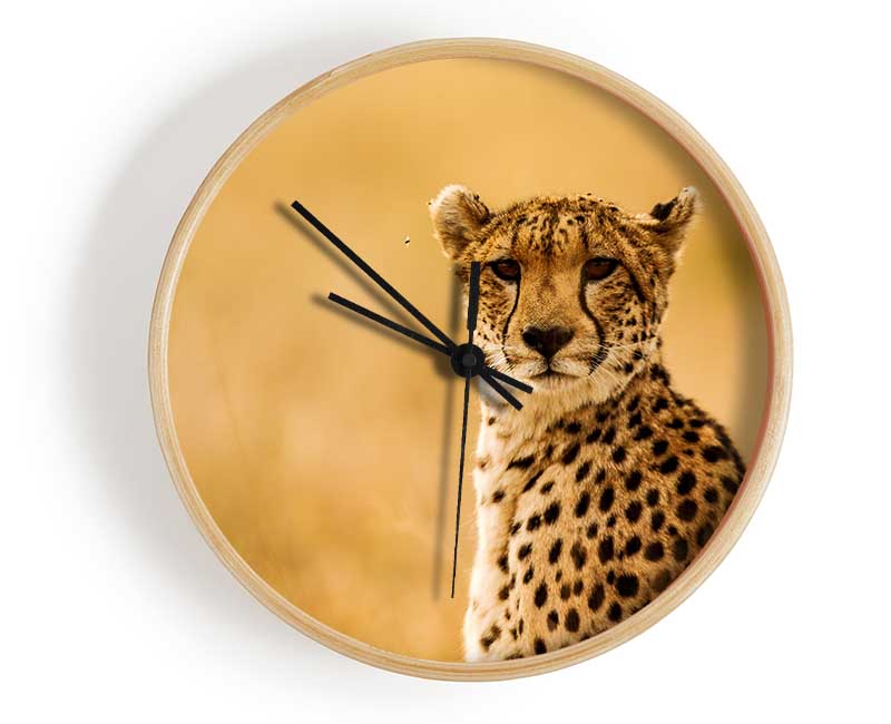 Proud Cheetah Clock - Wallart-Direct UK