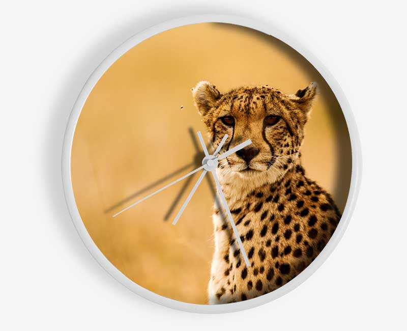 Proud Cheetah Clock - Wallart-Direct UK