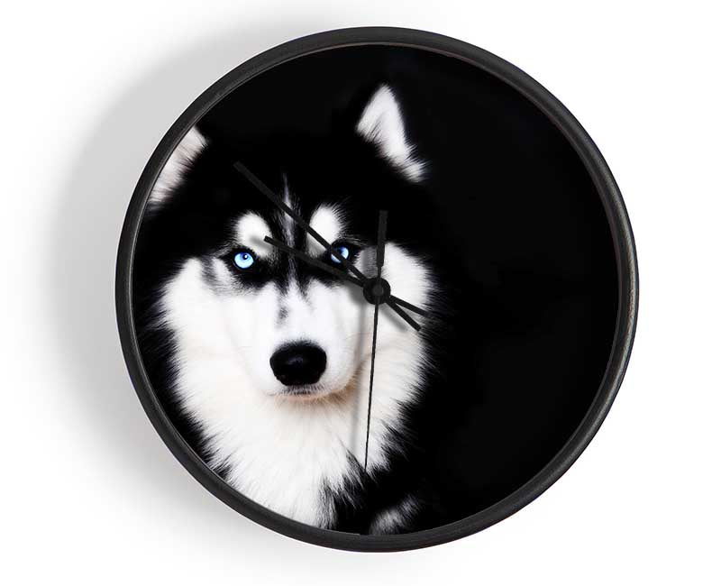 Husky Dog Love Clock - Wallart-Direct UK