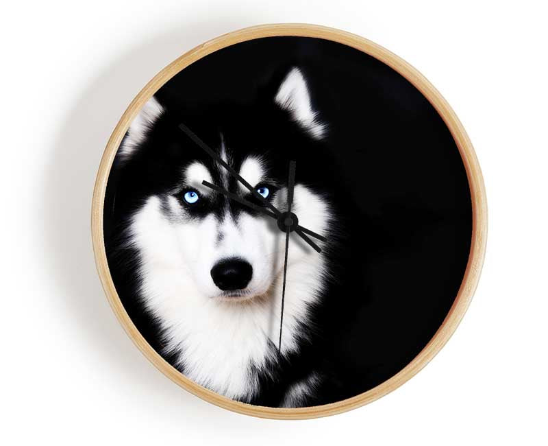 Husky Dog Love Clock - Wallart-Direct UK