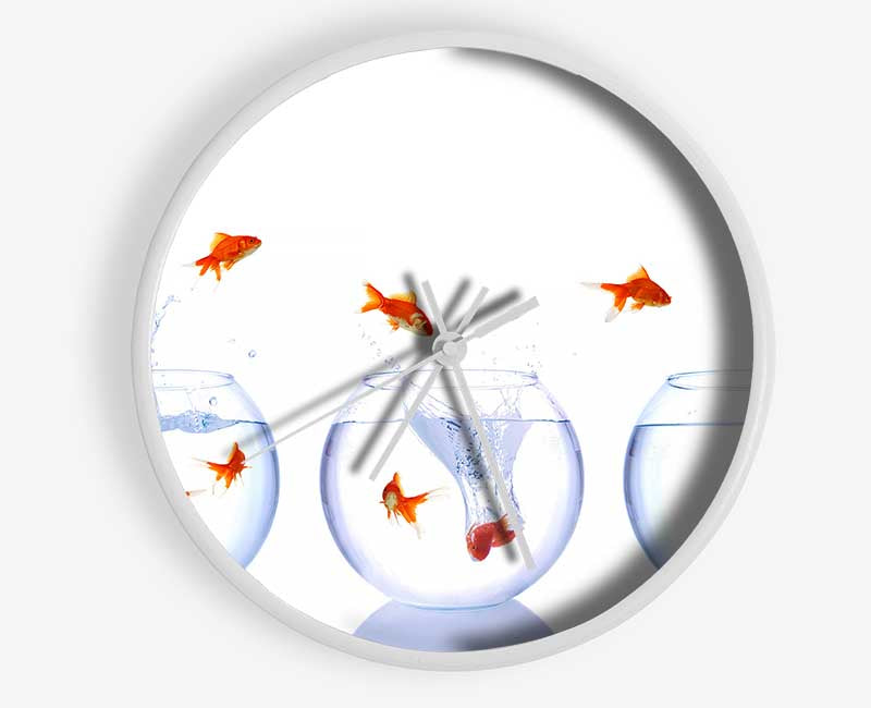 Jumping Goldfish Trio Clock - Wallart-Direct UK