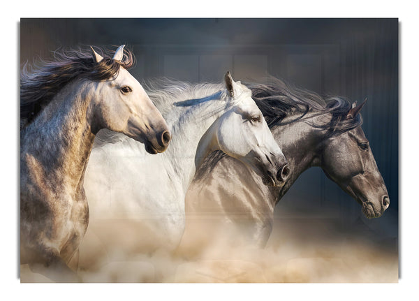 Wild Horse Trio