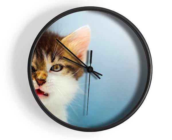 Kitten Cat Growl Clock - Wallart-Direct UK