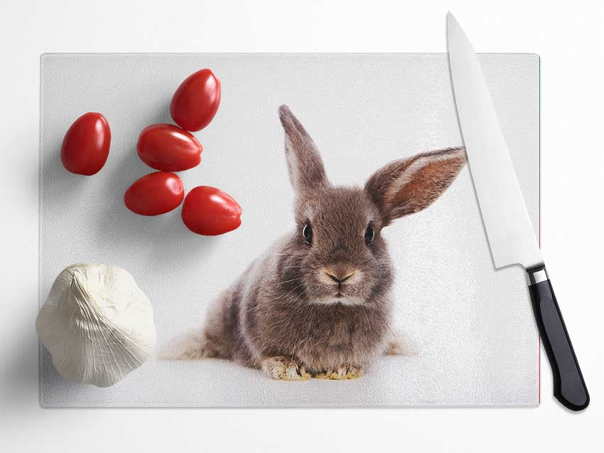 Curiosity Bunny Glass Chopping Board