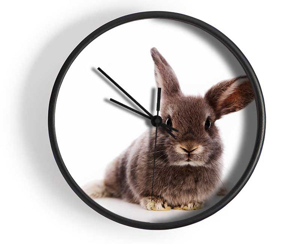 Curiosity Bunny Clock - Wallart-Direct UK