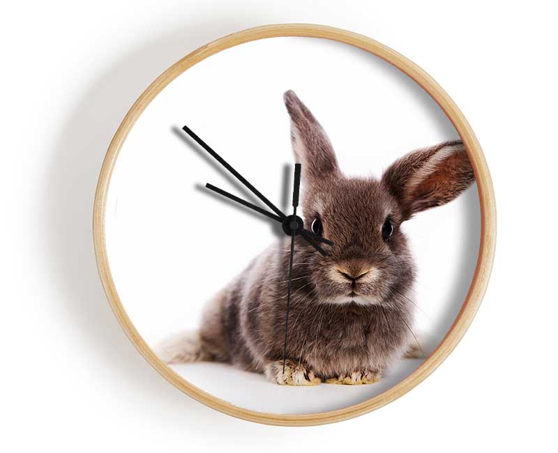 Curiosity Bunny Clock - Wallart-Direct UK