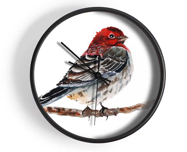 Red Finch Clock - Wallart-Direct UK