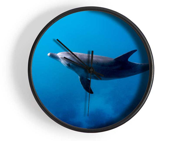 Dolphin Blues Clock - Wallart-Direct UK