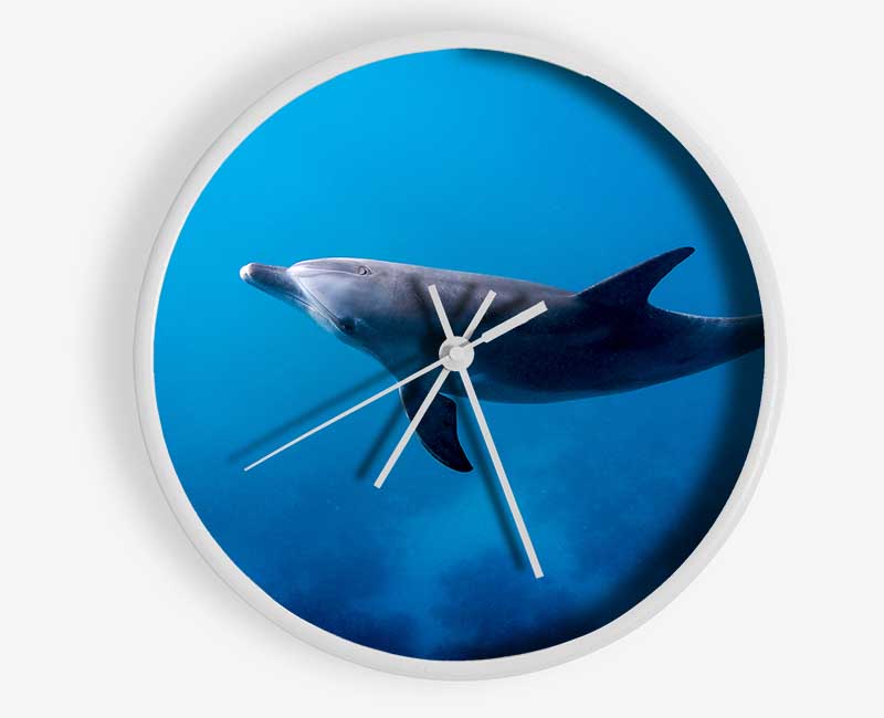 Dolphin Blues Clock - Wallart-Direct UK