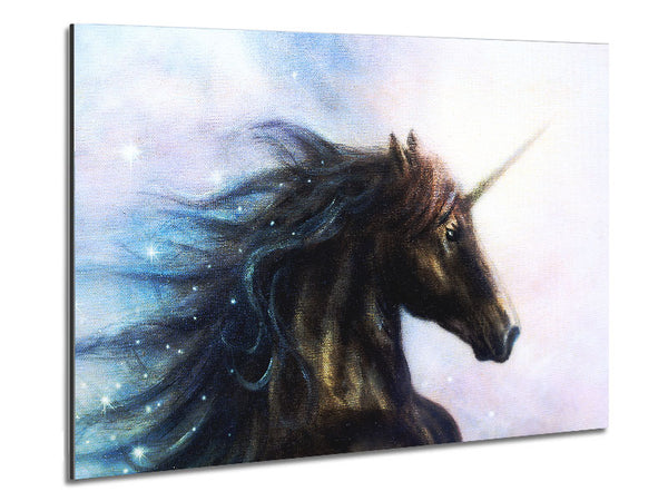 Stunning Unicorn Beauty