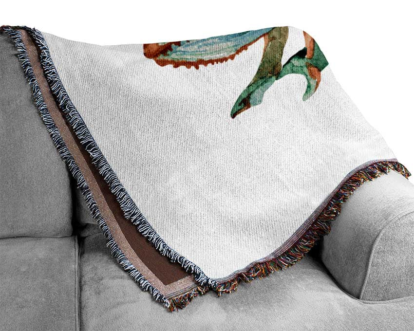 Chameleon Colours Woven Blanket