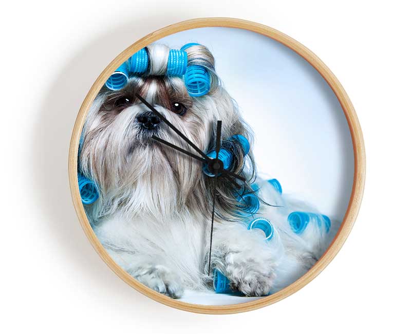 Shih Tzu Dog In Curlers Clock - Wallart-Direct UK