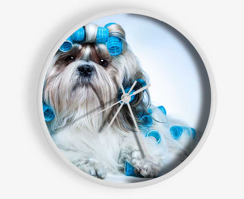 Shih Tzu Dog In Curlers Clock - Wallart-Direct UK