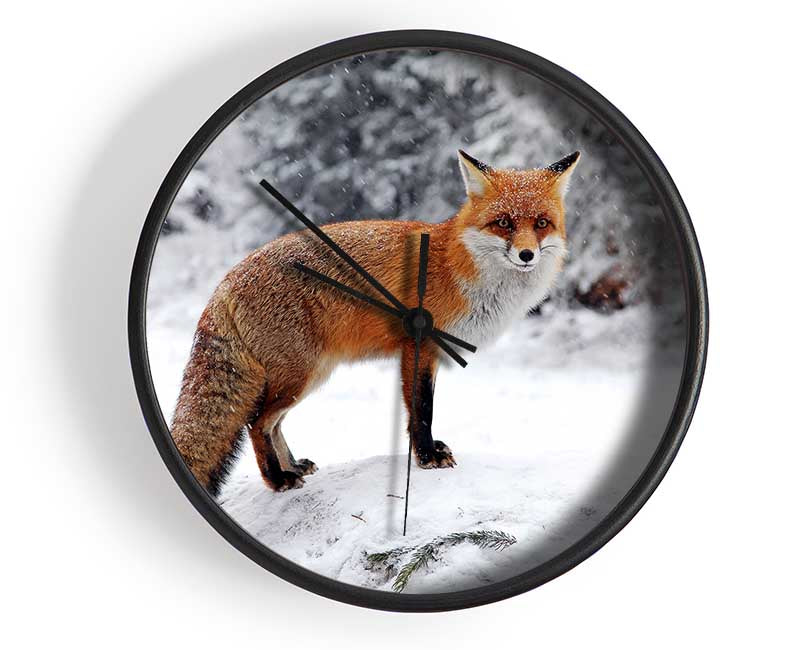 Snow Fox Clock - Wallart-Direct UK