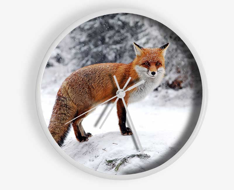 Snow Fox Clock - Wallart-Direct UK