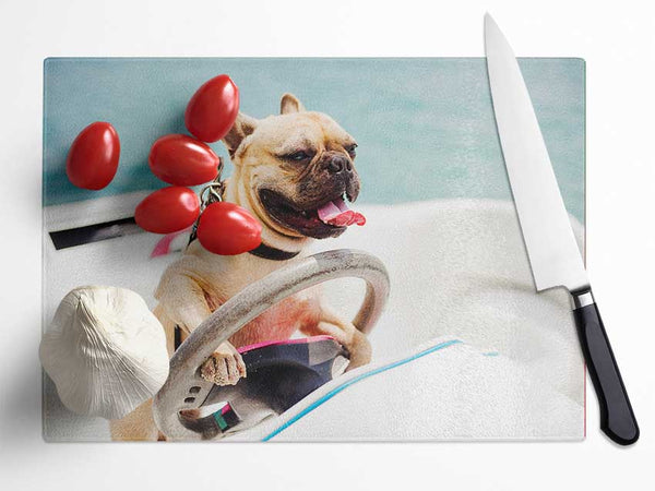 Speed boat French bulldog Glass Chopping Board