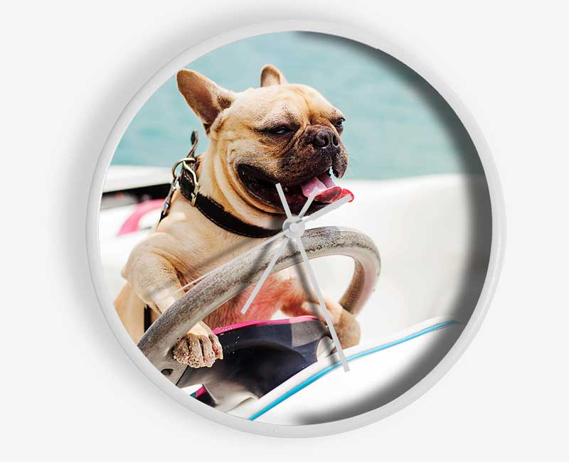 Speed boat French bulldog Clock - Wallart-Direct UK