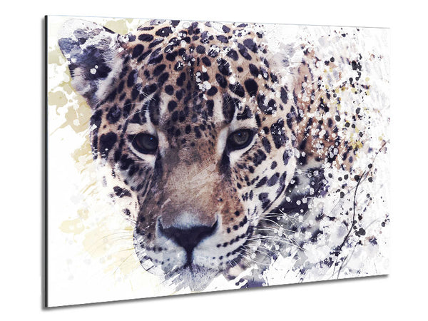 Leopard Splash