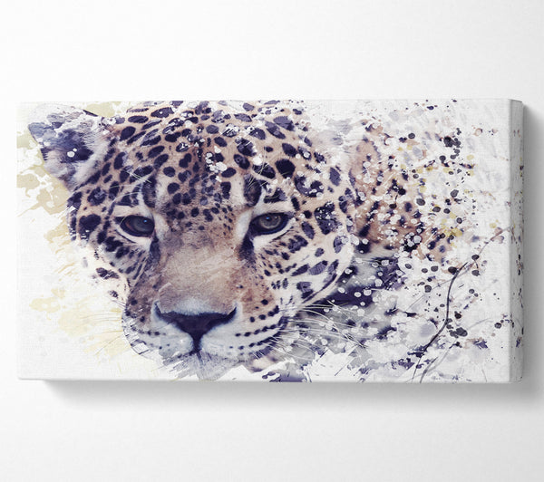 Leopard Splash