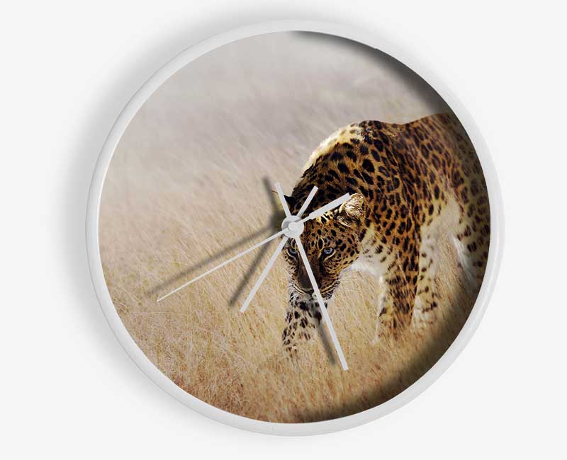 Prowling Leopard Clock - Wallart-Direct UK