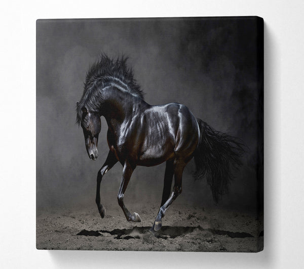 A Square Canvas Print Showing Black Beauty Horse Square Wall Art