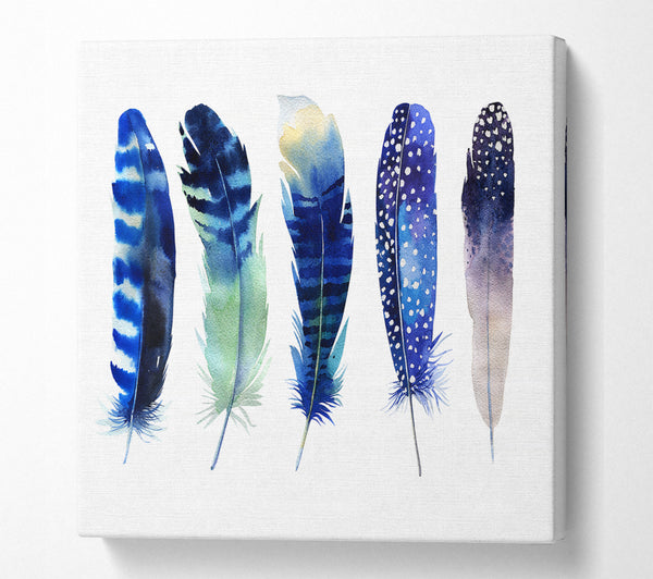 A Square Canvas Print Showing Night Feathers Square Wall Art