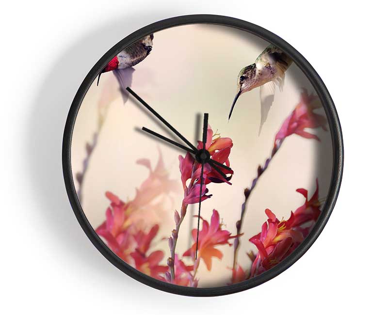 Hummingbird Delight Clock - Wallart-Direct UK