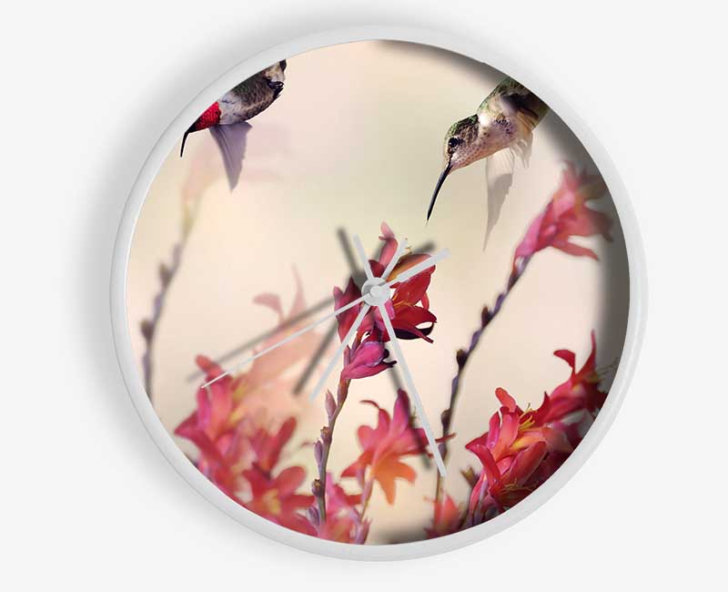 Hummingbird Delight Clock - Wallart-Direct UK