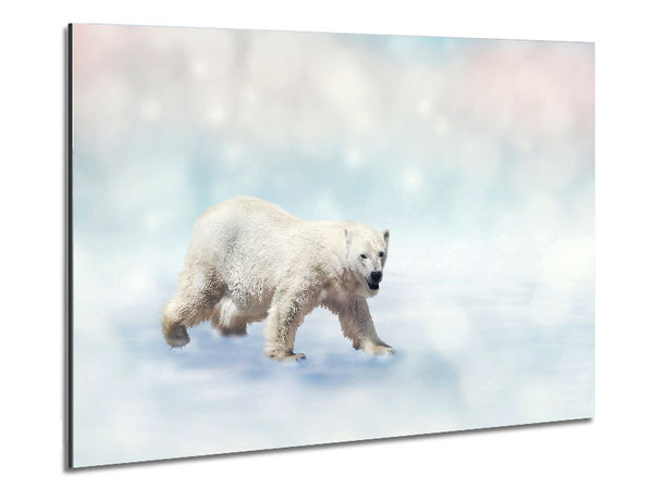 Polar Bear Twinkle