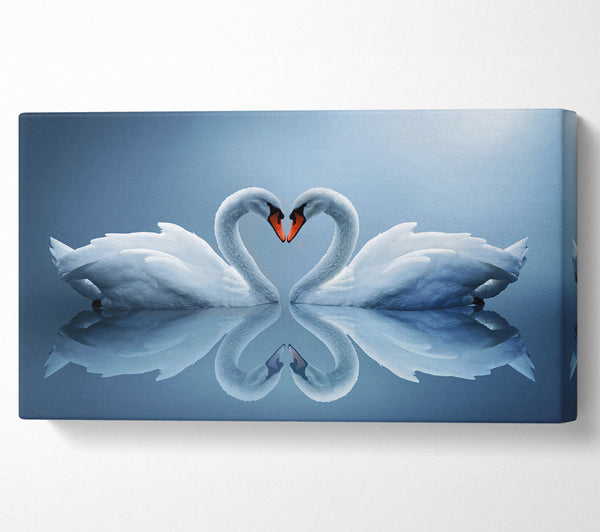 Heart shaped Swans